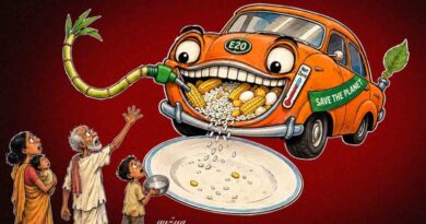 Opinion: Fuelling cars, emptying plates—the hidden costs of India’s ethanol policy