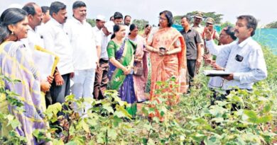 Medak farmers urged to opt for low water-consuming crops during Yasangi season