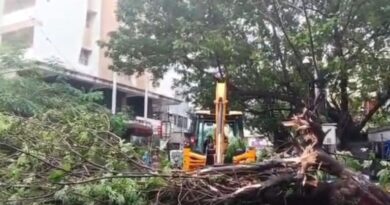 Cyclone Arnab kills three in Andhra Pradesh, damages 31 houses: NDRF