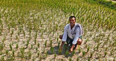 Tenant farmers seek Cultivator Cards as Telangana assesses drought, El Nino impact