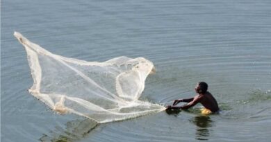Delayed fish seed release worries Telangana fishermen