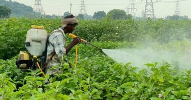 Vegetables growers in Kothagudem’s Julurpad create a mark of their own, makes good earning